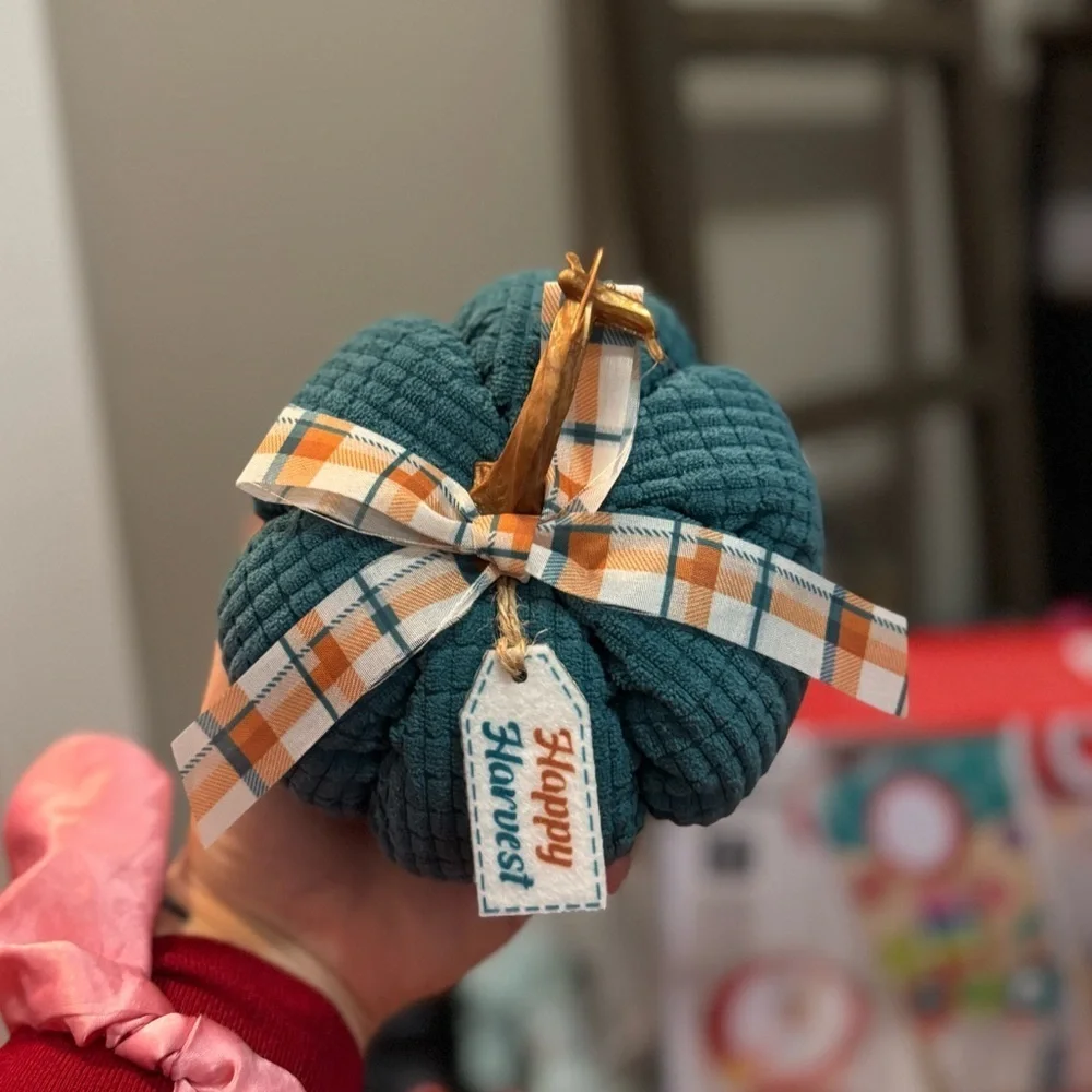 Happy Harvest Pumpkin Decor in Teal with Plaid Bow